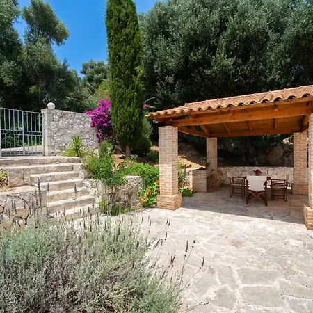 Apollo Up To 8px, Private Pool *